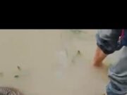 Sesosok Mayat Tanpa Identitas,Ditemukan Warga mengambang Dikali Pringsewu.