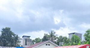 Plt. Kadinkes Lampung Selatan, Lakukan Pemantauan Fasyankes Dan Berikan Bantuan Korban Banjir Desa BandarAgung.