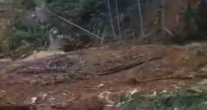 Petugas Gabungan Evakuasi 17 Korban Longsor di Petungkriyono, 8 Orang Masih Hilang.