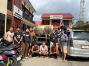 Satreskrim Polres Merangin Tangkap Tiga Pelaku Pencurian Hewan Ternak, 2 Ekor Kerbau Turut Diamankan.