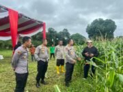 Polres Bungo Mendukung Program Asta Cita Presiden Prabowo, Mengecek Lahan Jagung Dikecamatan Muko-Muko Bathin VII.