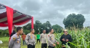 Polres Bungo Mendukung Program Asta Cita Presiden Prabowo, Mengecek Lahan Jagung Dikecamatan Muko-Muko Bathin VII.