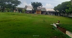 Diduga Pekerjaan Taman Desa Pantai Hurip Anggaran Tahun 2024 fiktif.