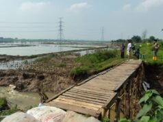 Dinas Pertanian Siapkan 43,8 Ton Benih untuk Petani Terdampak Banjir