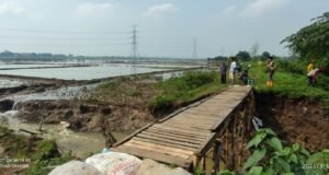 Dinas Pertanian Siapkan 43,8 Ton Benih untuk Petani Terdampak Banjir