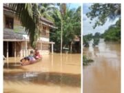 Banjir Hampir Dua Minggu, Menutupi Akses Jalan dan Rumah Warga Desa Sungai Rotan