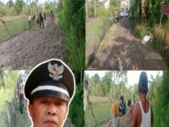 Respon Cepat Pemdes PHJ, Tanggapi Aduan Masyarakat Langsung di Rapikan