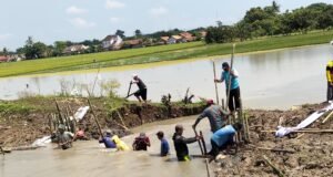 Tanggul Irigasi Jebol di Desa Sumberurip, Camat Pebayuran Tinjau Langsung Kelokasi.