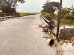 Proyek Pembangunan Jembatan Di Kapuk Desa Banjarsari Kecamatan Sukatani Diduga Memakai Batu Bata Bekas