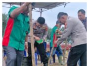 Polres Sarolangun Bersama Pemerintah Kecamatan Limun, Tanam Jagung Dukung Ketahanan Pangan Nasional