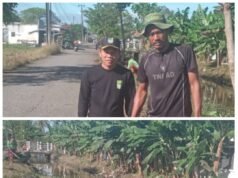 Pemdes Sukamakmur Bersihkan Saluran Irigasi dan Usulan Normalisasi Irigasi Sungai Pembetokan – Muara