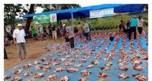 Musholah Assadatul Bahri, Diresmikan Potong 7 Ekor Sapi dan Satu Ekor Kambing