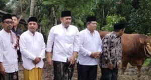 Bupati H M Syukur Sholat Idul Adha 1446 H di Sungai Manau, Sekaligus Serahkan Hewan Qurban dari Presiden dan Pemkab Merangin