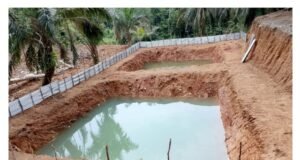 Waduh…!!! Viral Berita Proyek Kolam, Kades Karang Anyar Sapuan Tantang Ajak Balago