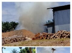 Warga Rejosari Keluhkan Polusi Pabrik PT Luk Yang Menyengat, Menjadi Sorotan Warga