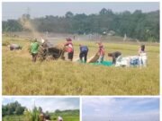 Bupati Ade Kunang Persembahkan Perda LP2B untuk Sejahterakan Petani, Dihari Tani Nasional 2025