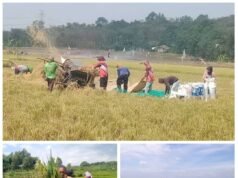 Bupati Ade Kunang Persembahkan Perda LP2B untuk Sejahterakan Petani, Dihari Tani Nasional 2025