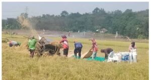 Bupati Ade Kunang Persembahkan Perda LP2B untuk Sejahterakan Petani, Dihari Tani Nasional 2025