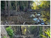 Diduga Lakukan Pelanggaran Lingkungan, PT TAS Diadukan ke DLHD Morowali