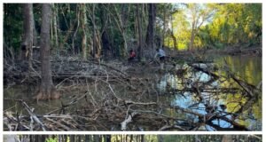 Diduga Lakukan Pelanggaran Lingkungan, PT TAS Diadukan ke DLHD Morowali