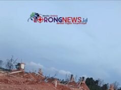 Mafia Pasir Ilegal Hancurkan Hutan Bakau Bida Asri 3, BP Batam dan Aparat Hukum Diminta Berhenti ‘Tutup Mata’ Ancaman Denda Rp100 Miliar Diabaikan