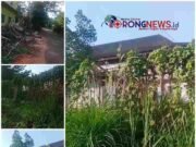 Perawatan Miliaran Lenyap, Kantor Pemkab Musi Rawas Dibiarkan Jadi Fasilitas Hutan Belantara