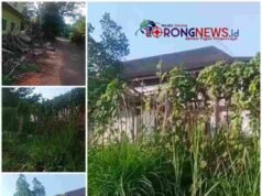 Perawatan Miliaran Lenyap, Kantor Pemkab Musi Rawas Dibiarkan Jadi Fasilitas Hutan Belantara