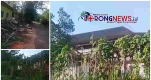 Perawatan Miliaran Lenyap, Kantor Pemkab Musi Rawas Dibiarkan Jadi Fasilitas Hutan Belantara