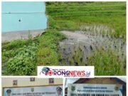 Keji dan Arogan “Skandal Prilaku Buruk MBG Plumbon: Beroperasi Tanpa Izin Limbah, Petani Jadi Tumbal Program Gizi Nasional