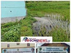 Keji dan Arogan “Skandal Prilaku Buruk MBG Plumbon: Beroperasi Tanpa Izin Limbah, Petani Jadi Tumbal Program Gizi Nasional