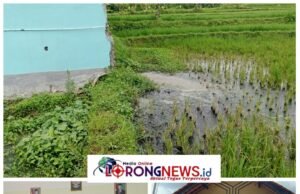 Keji dan Arogan “Skandal Prilaku Buruk MBG Plumbon: Beroperasi Tanpa Izin Limbah, Petani Jadi Tumbal Program Gizi Nasional