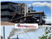 Warga Talang Empat Terdampak Pencemaran, PT Palma Mas Sejati Abaikan Kesehatan Warga dan DLH Kabupaten Bengkulu Tutup Mata