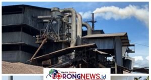 Warga Talang Empat Terdampak Pencemaran, PT Palma Mas Sejati Abaikan Kesehatan Warga dan DLH Kabupaten Bengkulu Tutup Mata