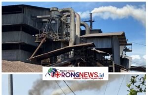 Warga Talang Empat Terdampak Pencemaran, PT Palma Mas Sejati Abaikan Kesehatan Warga dan DLH Kabupaten Bengkulu Tutup Mata
