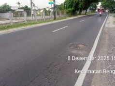 Jalan Provinsi, Rengasdengklok Tanjungpura Berlubang Warga Minta Perbaikan Segera