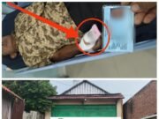 Dugaan Malpraktik Ketenagakerjaan di Brebes: Buruh Cacat Permanen, Perusahaan Malah Arahkan SKTM