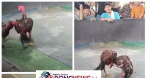 Lapor Pak Kapolsek…!!! Judi Sabung Ayam Gang Sejati ‘Kebal Hukum’ Diduga Dikelola Oknum Cepak Loreng di Tengah Gencarnya Operasi Kapolrestabes