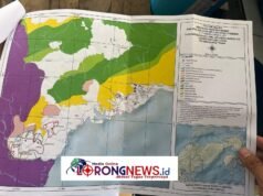 Skandal PT KLS: Gubernur Sulteng Tabuh Genderang Perang, Bongkar Gurita Perkebunan Ilegal di Cagar Alam Morowali