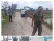 IWO Indonesia DPD Kabupaten Bekasi Apresiasi Satpol PP, Penutupan Pengurugan ILEGAL di Desa Sukaasih