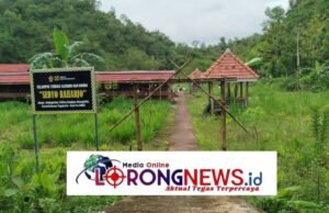 Kalurahan Melikan Kembangkan Ternak Kambing dan Telur Ayam Omega Tiga