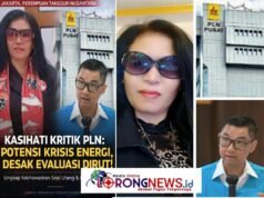 Ketum PTN Soroti Kinerja PLN, Desak Evaluasi Dirut Terkait Risiko Krisis Energi