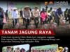 Tanam Jagung Raya 40 Hektare di Pidie, Polda Aceh dan Petani Muda Perkuat Ketahanan Pangan Nasional