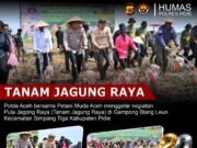 Tanam Jagung Raya 40 Hektare di Pidie, Polda Aceh dan Petani Muda Perkuat Ketahanan Pangan Nasional