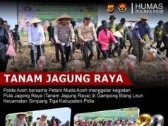Tanam Jagung Raya 40 Hektare di Pidie, Polda Aceh dan Petani Muda Perkuat Ketahanan Pangan Nasional