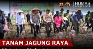 Tanam Jagung Raya 40 Hektare di Pidie, Polda Aceh dan Petani Muda Perkuat Ketahanan Pangan Nasional
