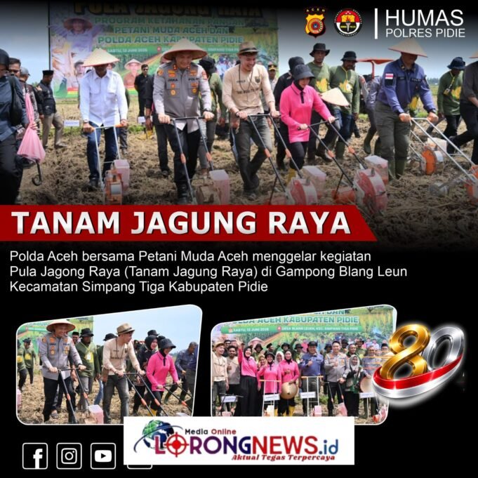 Tanam Jagung Raya 40 Hektare di Pidie, Polda Aceh dan Petani Muda Perkuat Ketahanan Pangan Nasional