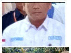 Kolam Lele Berada di Tanah BUMDes Karang Anyar, Hasilnya Jadi Sorotan Warga