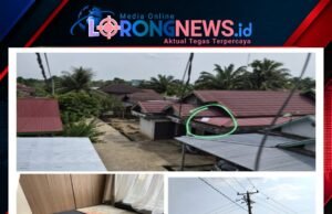 Ternyata Begini Cara Layanan Starlink, Diduga Disalurkan ke Rumah-rumah Warga di Desa Tunggul Bulin
