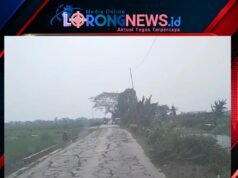 Jalan Rusak Parah di Ruas Sukahurip–Tambelang, DPD IWO Indonesia Kabupaten Bekasi Desak Pemkab Segera Bertindak