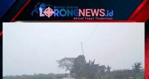Jalan Rusak Parah di Ruas Sukahurip–Tambelang, DPD IWO Indonesia Kabupaten Bekasi Desak Pemkab Segera Bertindak